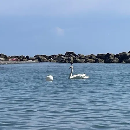 Casa Aiga Marina * 벤티밀리아