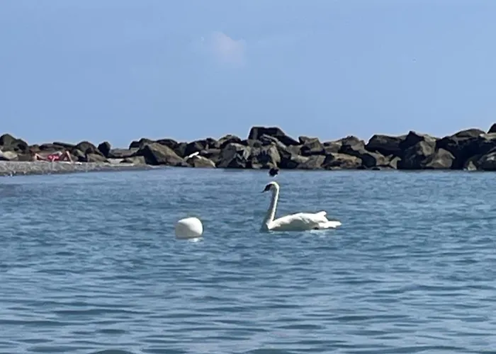 Casa Aiga Marina * Ventimiglia